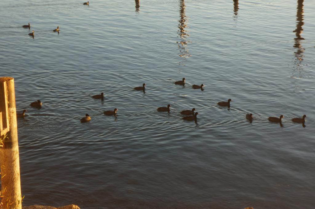 Lake Marina Inn Clearlake Oaks エクステリア 写真