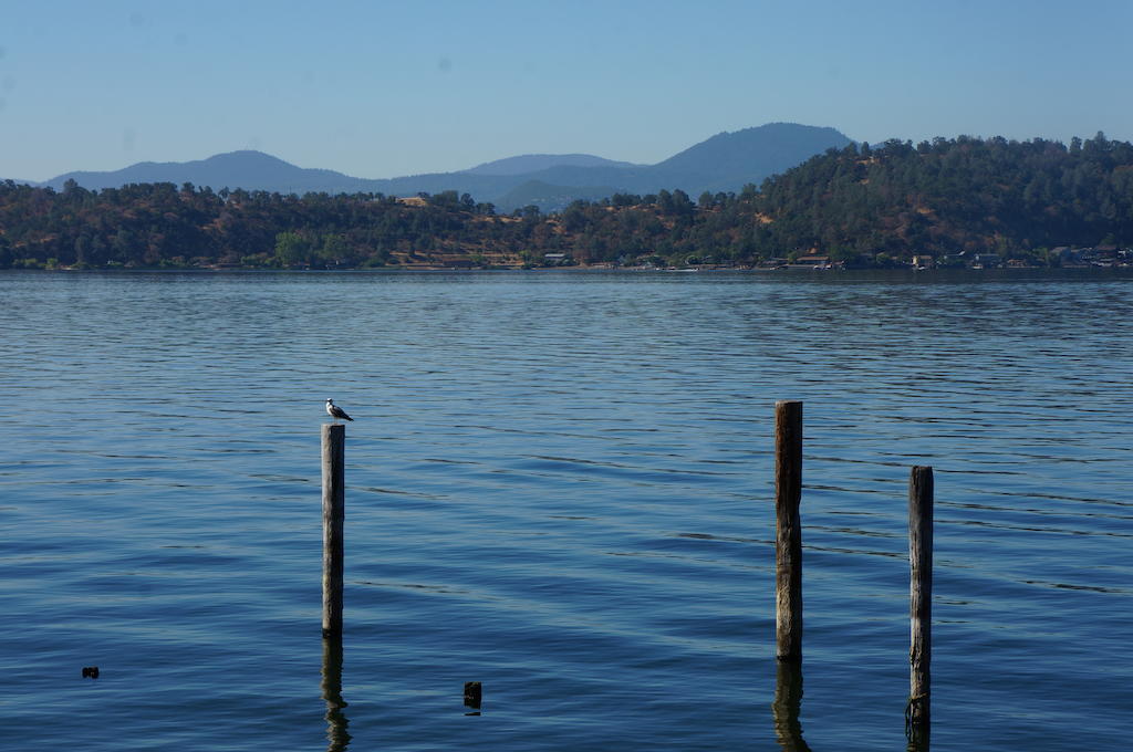 Lake Marina Inn Clearlake Oaks エクステリア 写真